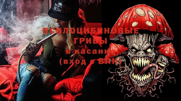 ECSTASY Абаза