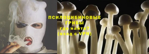 ECSTASY Абаза