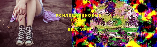 spice Покачи
