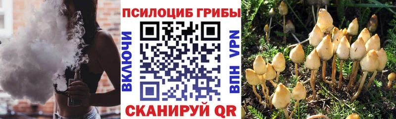 Галлюциногенные грибы GOLDEN TEACHER  мега ССЫЛКА  Клинцы  наркотики 