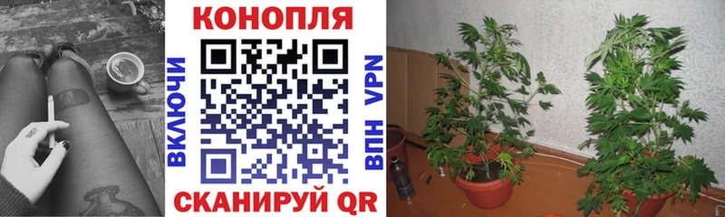 Каннабис семена  дарнет шоп  Клинцы 